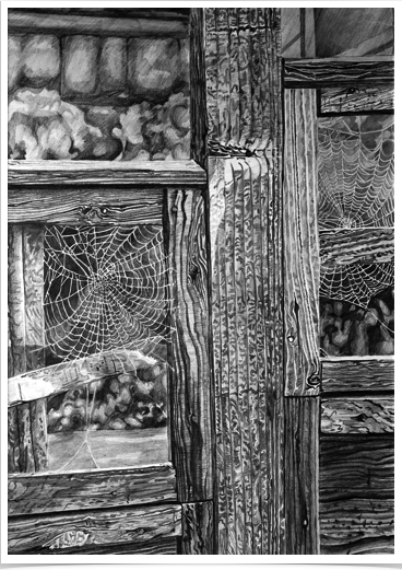 Autumn Fence
pencil on paper
29 x 41 cm Autumn Fence
pencil on paper
29 x 41 cm